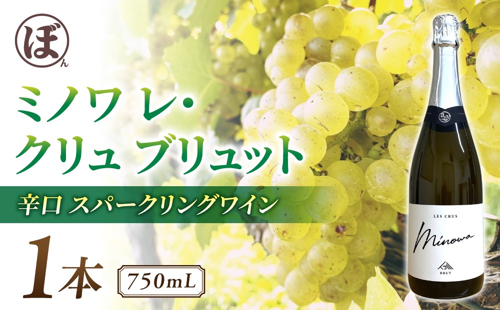 ※画像とはヴィンテージが異なる場合がございます