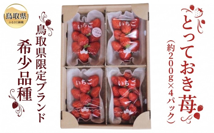 B25-088 【希少品種・鳥取県限定ブランド】とっておき苺（約200g×4パック）