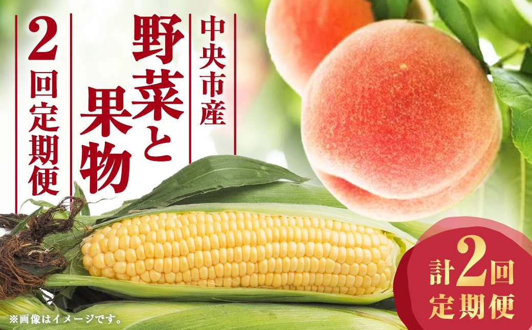 【 2回定期便 】 中央市産 とうもろこし、もも