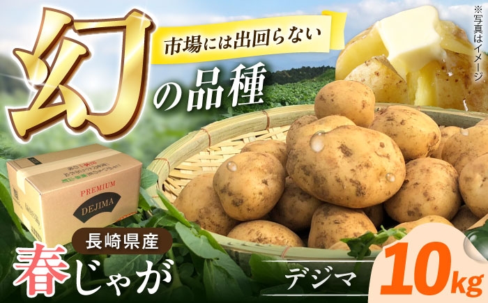 デジマ じゃがいも ジャガイモ 春作 新じゃが 長崎 国産 野菜 旬 家庭用 長崎 雲仙 南串山