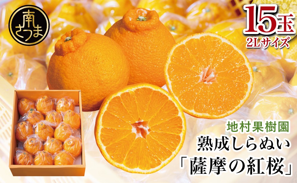 ■至高の熟成柑橘「薩摩の紅桜セット(不知火)」