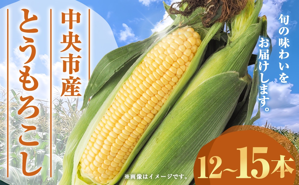 中央市産 とうもろこし 12～15本