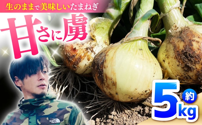 タマネギ 玉葱 玉ねぎ 野菜 やさい カレー シチュー バーベキュー スープ サラダ たまねぎ 玉葱 料理 野菜 タマネギ