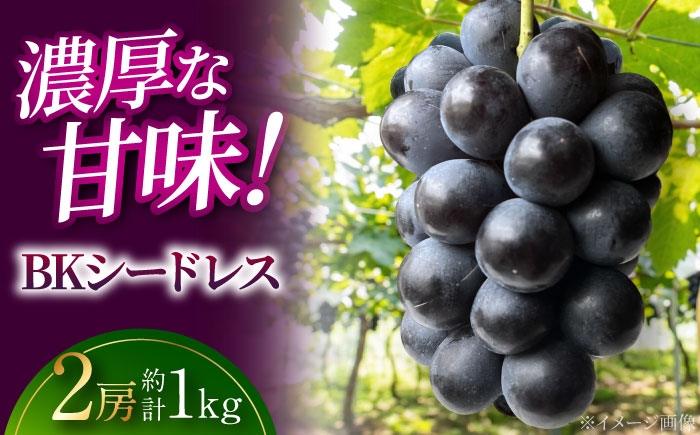 ぶどう BKシードレス 広島県 三次市