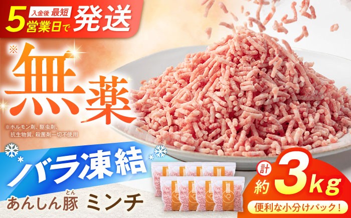 あんしん豚のミンチ肉がお皿に盛りつけられています。小分けパックの為、毎回必要な分だけお料理に使えます。入金後最短5営業日で発送！