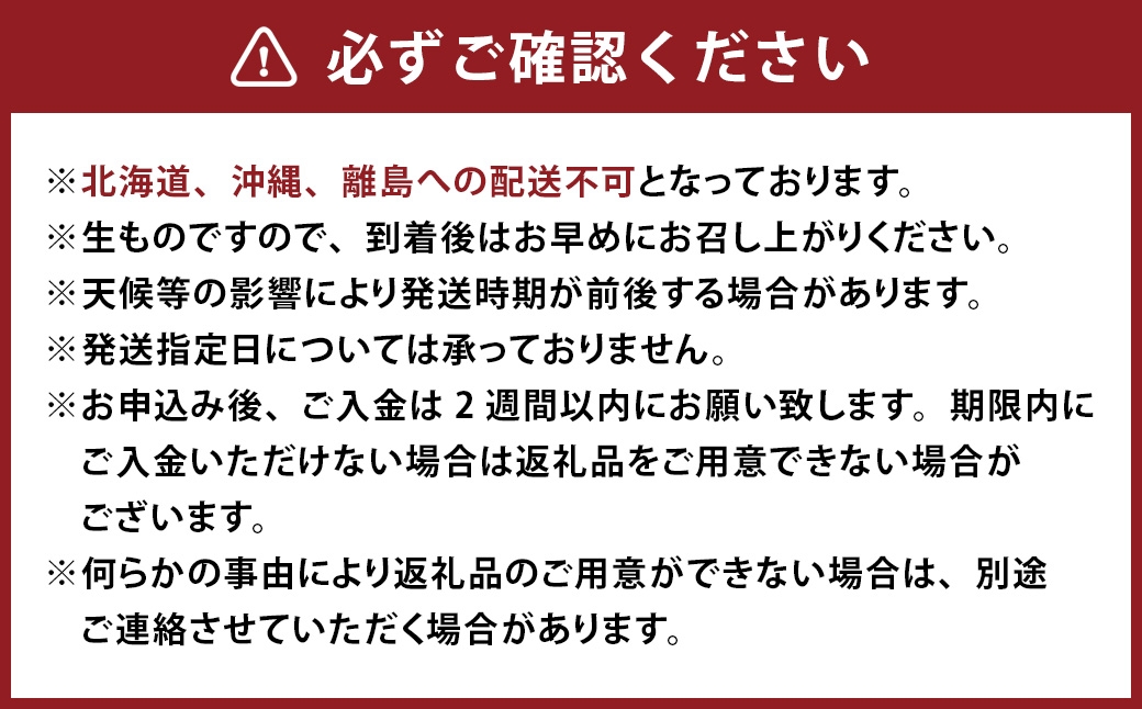 中央市産 とうもろこし 12～15本