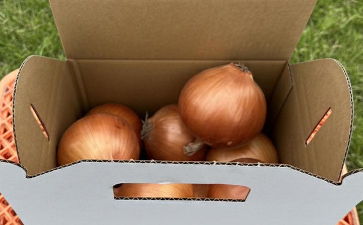 三世代で紡ぐ味淡路島の玉ねぎ