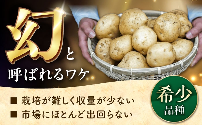 デジマ じゃがいも ジャガイモ 春作 新じゃが 5kg 長崎 国産 野菜 旬 家庭用 長崎 雲仙 南串山