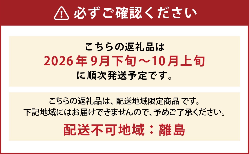 たっぷり日光を浴びたみずみずしい種無しぶどう3種セット ( シャインマスカット ＋ 旬なぶどう ) 約4kg