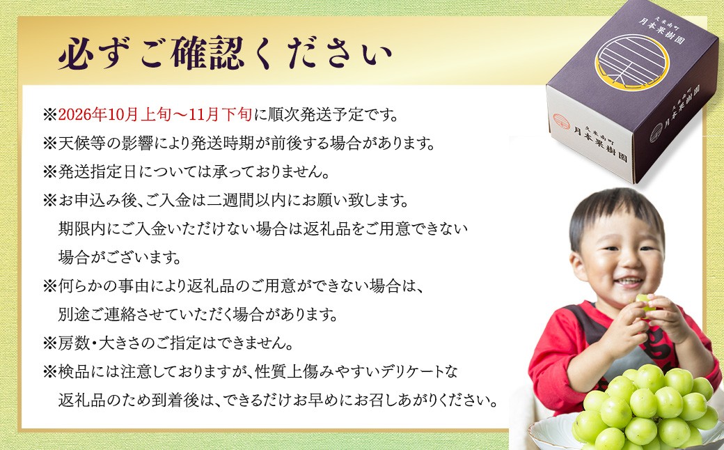 【種なし】岡山県産 シャインマスカット 1房箱 計約800g