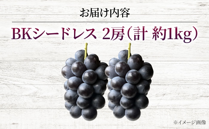 ぶどう BKシードレス 広島県 三次市