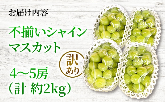 訳あり 家庭用 シャインマスカット マスカット ぶどう