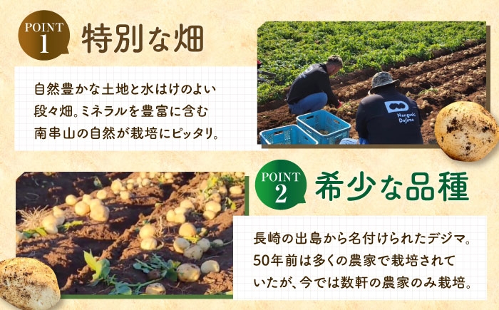 デジマ じゃがいも ジャガイモ 春作 新じゃが 長崎 国産 野菜 旬 家庭用 長崎 雲仙 南串山