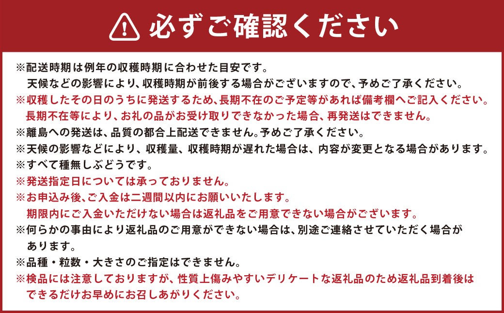 たっぷり日光を浴びたみずみずしい種無しぶどう3種セット ( シャインマスカット ＋ 旬なぶどう ) 約4kg