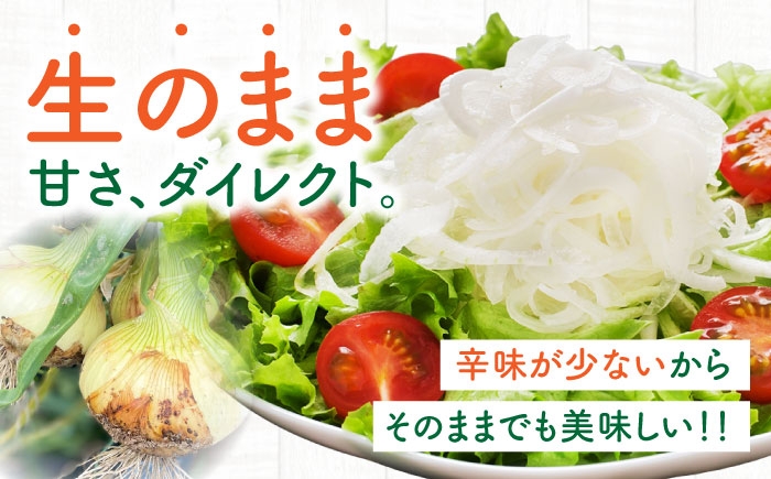 タマネギ 玉葱 玉ねぎ 野菜 やさい カレー シチュー バーベキュー スープ サラダ たまねぎ 玉葱 料理 野菜 タマネギ