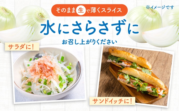 タマネギ 玉葱 玉ねぎ 野菜 やさい カレー シチュー バーベキュー スープ サラダ たまねぎ 玉葱 料理 野菜 タマネギ