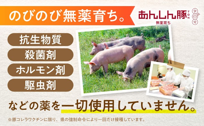 のびのび無薬育ちのあんしん豚。抗生物質やホルモン剤を使わず、草原で健康に育つ豚たち。