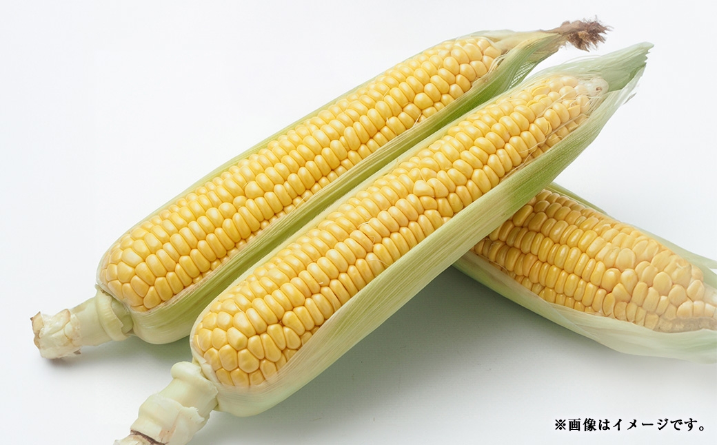 【 3回定期便 】 中央市産 とうもろこし、もも、キウイフルーツ