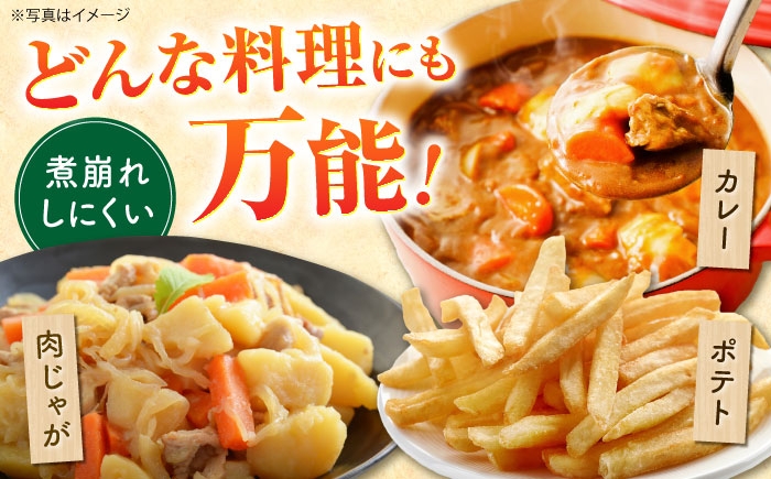 デジマ じゃがいも ジャガイモ 春作 新じゃが 5kg 長崎 国産 野菜 旬 家庭用 長崎 雲仙 南串山