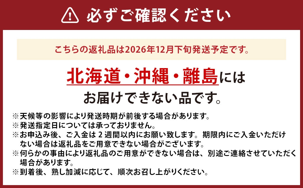 中央市産 キウイフルーツ （ ヘイワード ） 約1kg