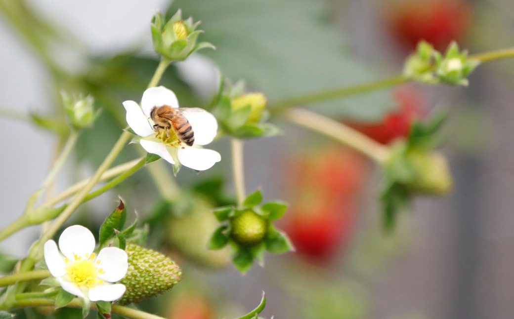 画像はイメージです。