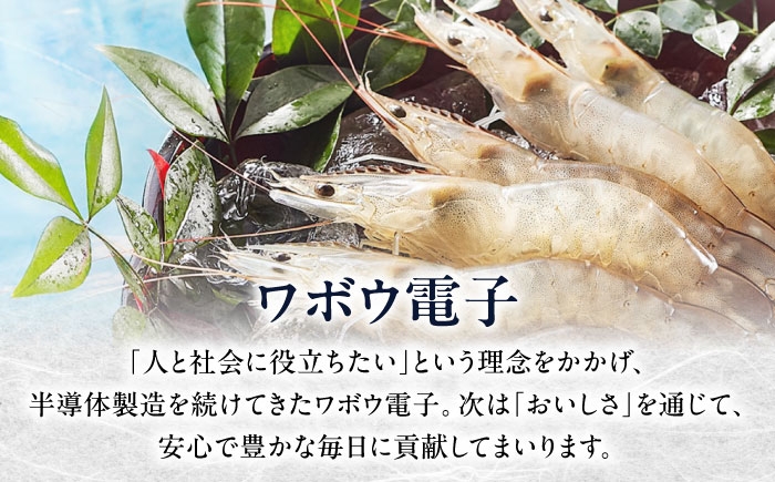 クリームコロッケ コロッケ 惣菜 おかず 海老 えび エビ 海老クリームコロッケ 近江海老 クリーミー 揚げるだけ 揚げ物セット