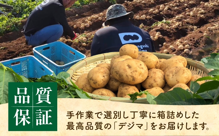 デジマ じゃがいも ジャガイモ 春作 新じゃが 長崎 国産 野菜 旬 家庭用 長崎 雲仙 南串山