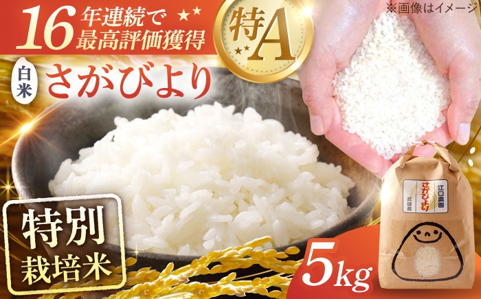 お米 米 おこめ こめ コメ 白米 精米 白ご飯 さがびより 佐賀県産 佐賀県産米