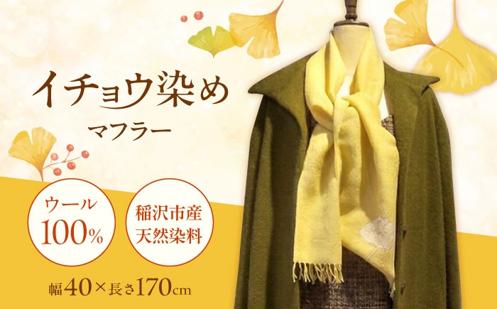 イチョウの枝葉を活用！地球と肌に優しいスーパーウール100%マフラー