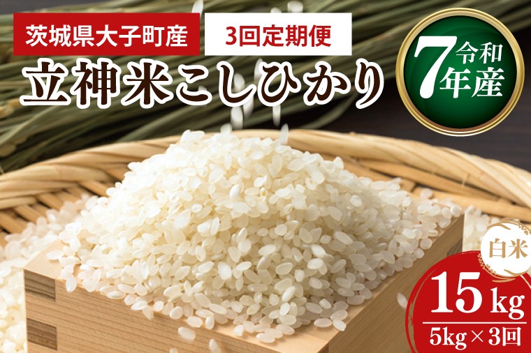 【特別栽培米】立神米こしひかり（白米）定期便 5kg 3回