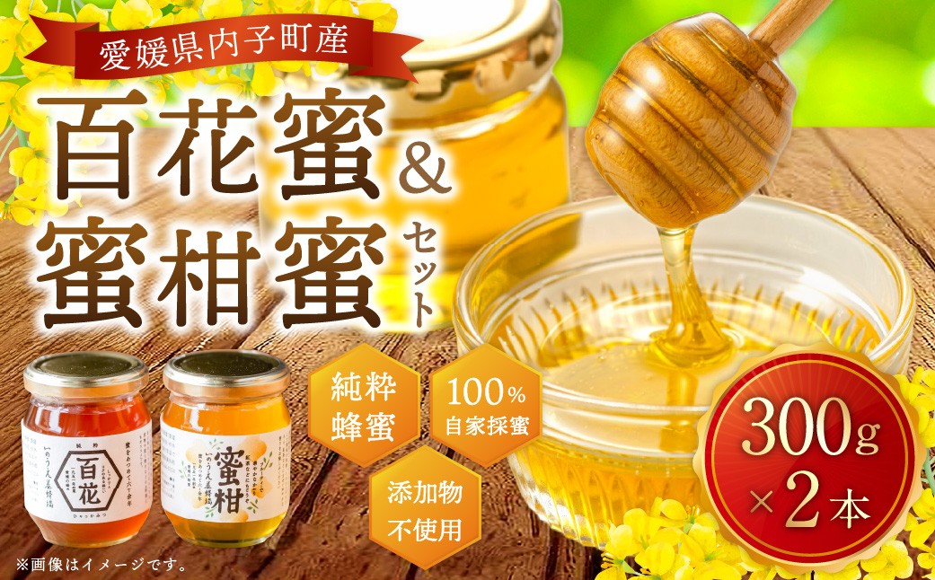 百花蜜 & 蜜柑蜜 セット（各300g） 計600g はちみつ ハチミツ 蜂蜜 【えひめの町（超）推し！（内子町）】（369）