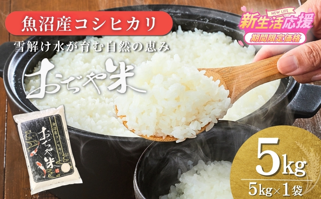 国内最高ランク魚沼米ブランド 肥沃な大地と気候風土、作り手の想いが一体となった米