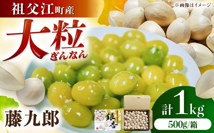 大粒の宝石。極上の藤九郎銀杏で、秋の贅沢を味わう。