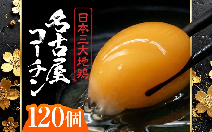 こだわり飼料の高級ブランド卵「名古屋コーチン」を大容量でお届け！