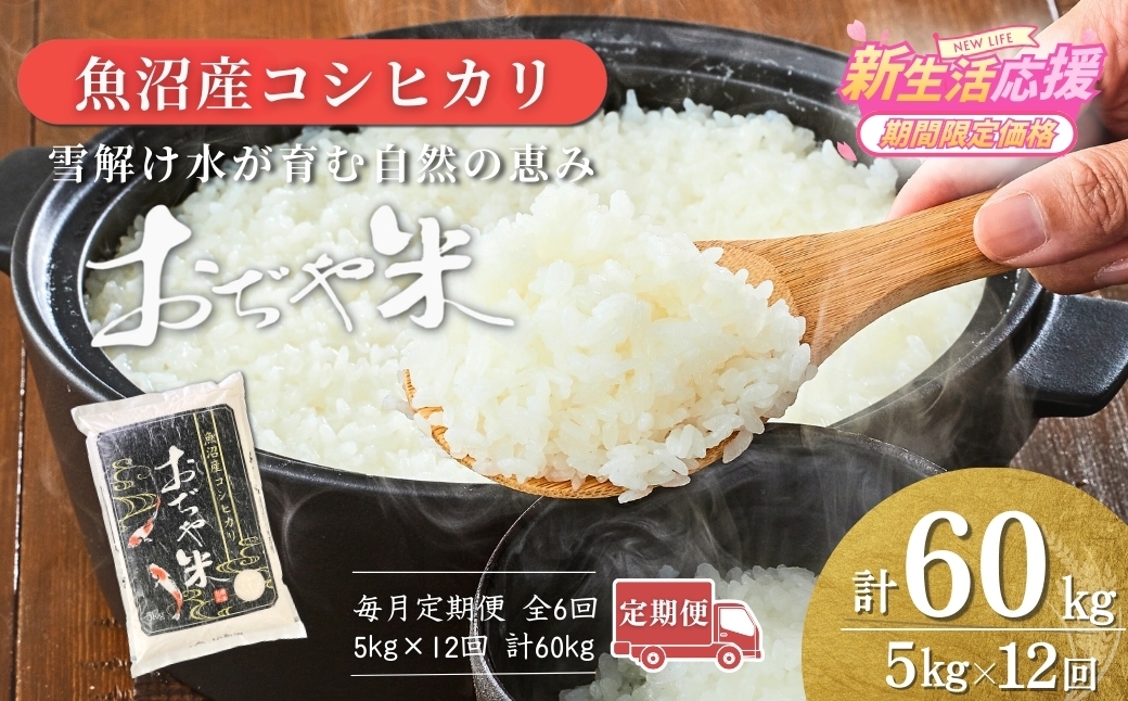 国内最高ランク魚沼米ブランド 肥沃な大地と気候風土、作り手の想いが一体となった米
