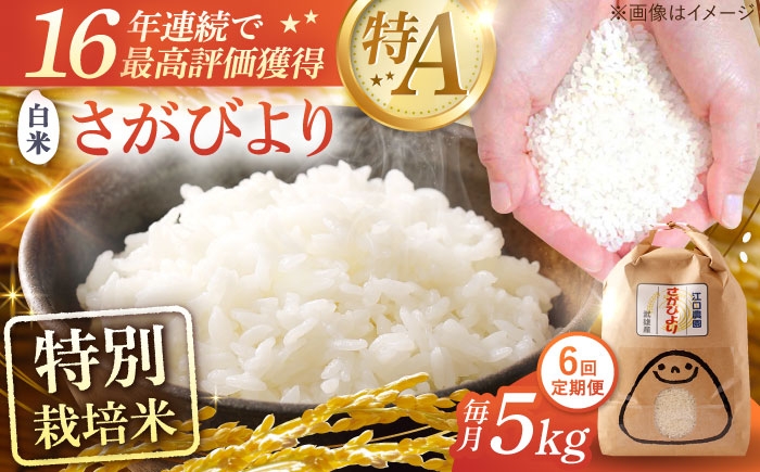【6回定期便】特別栽培米 さがびより 白米 5kg 配送前精米/江口農園 [UBF007] 米 お米 精米 佐賀県産 特A評価