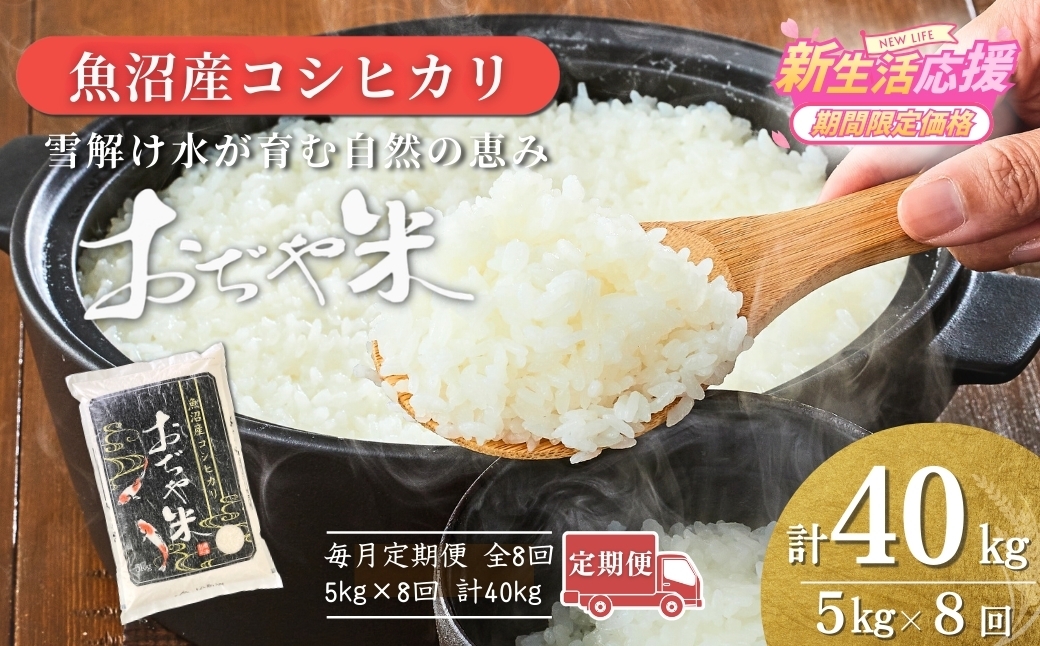 国内最高ランク魚沼米ブランド 肥沃な大地と気候風土、作り手の想いが一体となった米