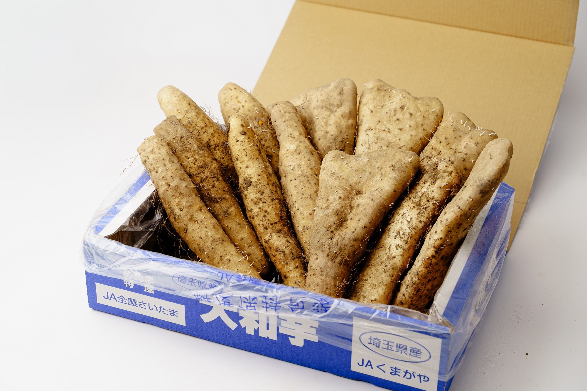 熊谷の名産「大和芋」4kg