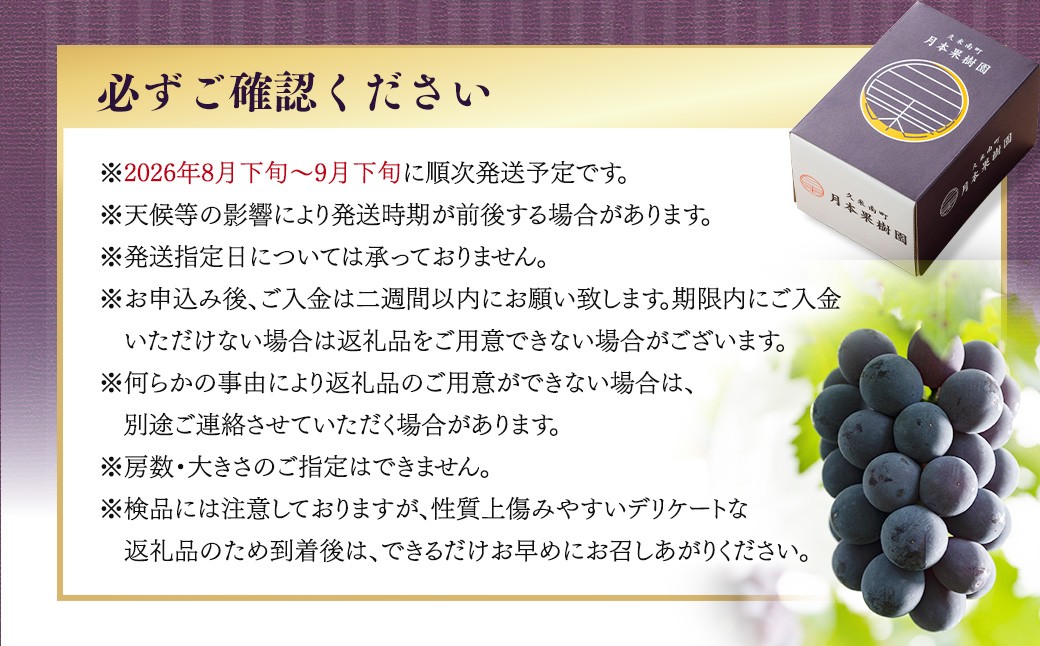 ニューピオーネ 1.2kg（2～3房）