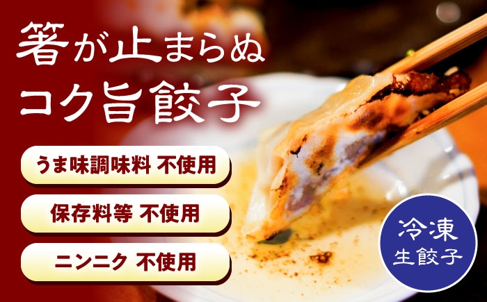 歩荷平飼い親鶏を国産野菜の優しい味わいで包み込んだ箸が止まらぬコク旨冷凍生餃子。