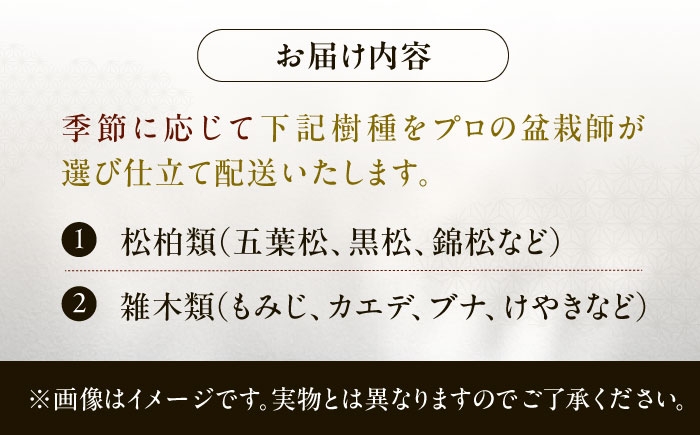 プロの盆栽師が仕立てた盆栽をご自宅で。お父さんへのプレゼントにもおすすめです。