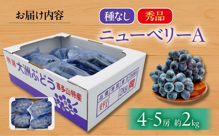 果物 フルーツ デザート 旬 数量限定 葡萄 ぶどう ブドウ グレープ ニューベリーA 種無し 種なし 種無し 大粒 高級