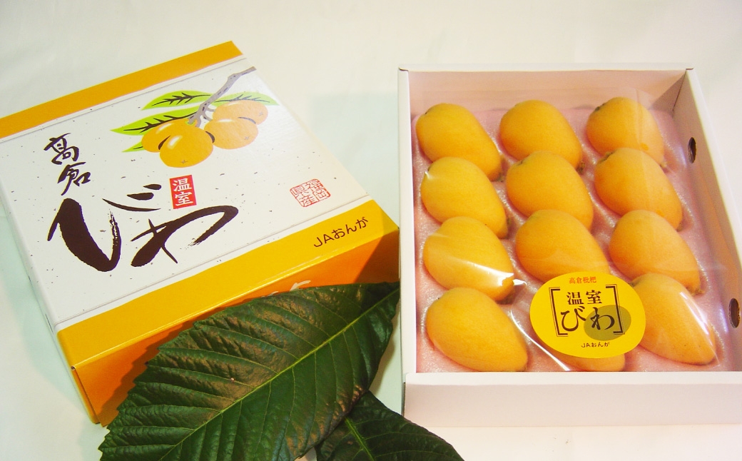 高倉びわ 化粧箱 12玉入り 1箱