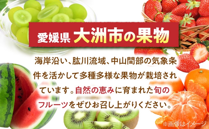 果物 フルーツ デザート 旬 数量限定 葡萄 ぶどう ブドウ グレープ ニューベリーA 種無し 種なし 種無し 大粒 高級