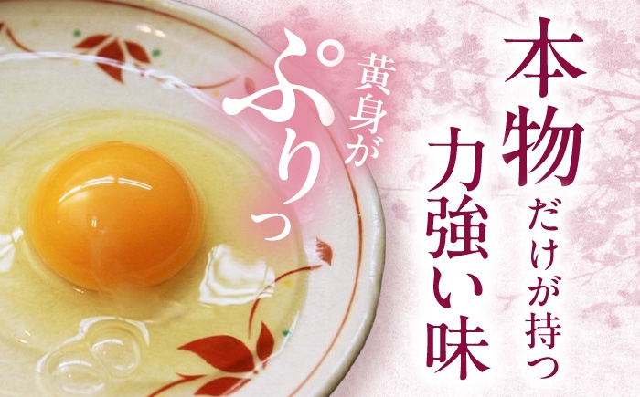 こだわり飼料の高級ブランド卵「名古屋コーチン」を大容量でお届け！