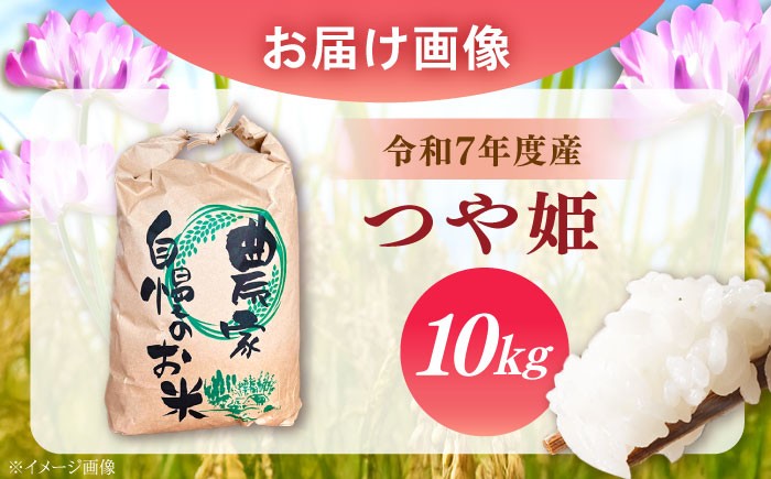 米 ふるさと納税限定 つやひめ つや姫 こめ ツヤヒメ ブランド米 主食 贈答 ギフト おすすめ 人気 岐阜県 恵那市