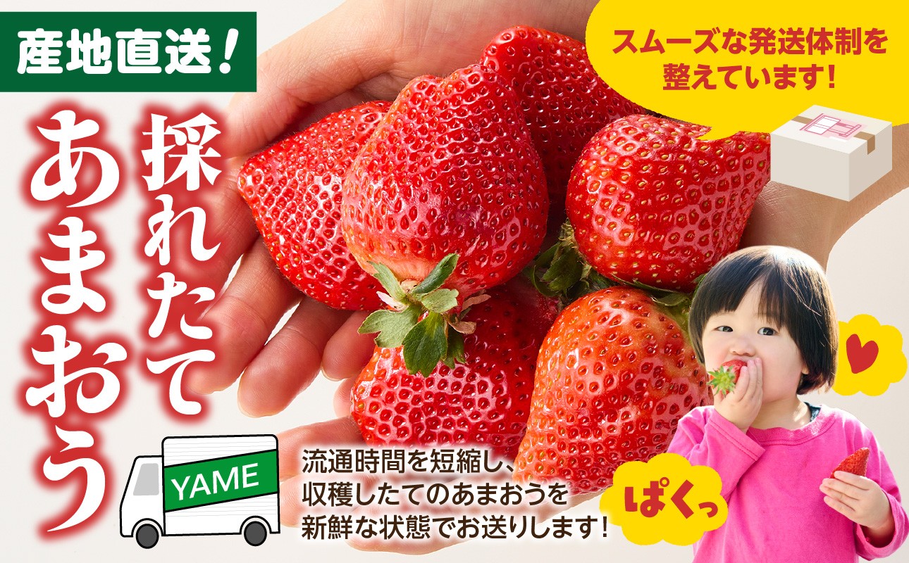 食べ応えのある、大きめの果実