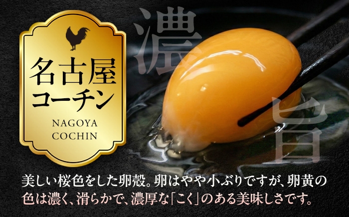 こだわり飼料の高級ブランド卵「名古屋コーチン」を大容量でお届け！