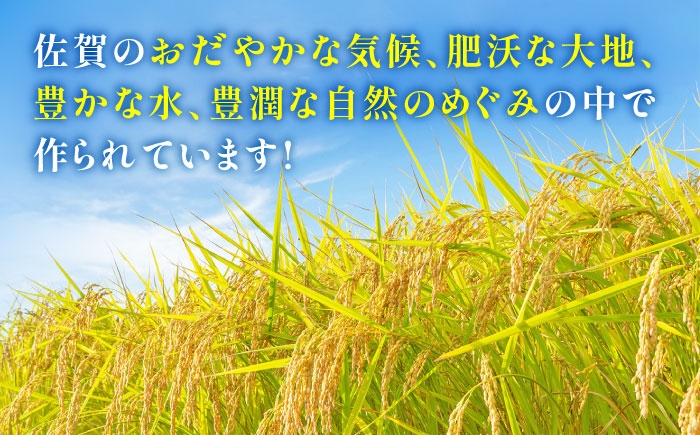  夢しずく 白米 3kg 特A こめ コメ 精米 国産 お米 ごはん 米 お米 白米