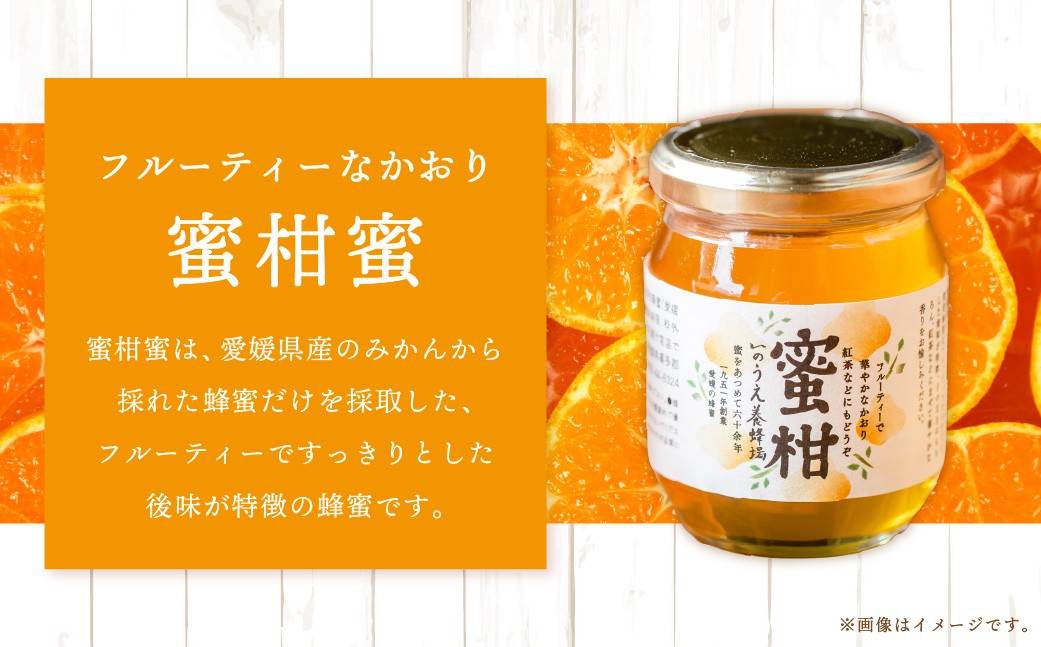 百花蜜 & 蜜柑蜜 セット（各300g） 計600g はちみつ ハチミツ 蜂蜜 【えひめの町（超）推し！（内子町）】（369）